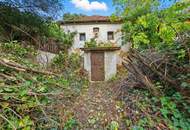 Revitalisieren und Gestalten nach eigenen Ideen: Weinkeller und Garten im Einklang mit der Natur!