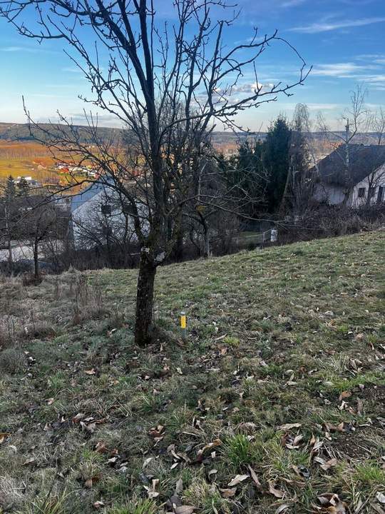 Baugrund - Sonnenlage - Aussichtslage - Hanglage am Ring in Hartberg