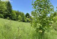 Leben am Sonnenhang