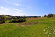 Sonderpreis - Grundstück in Ruhelage mit Panoramablick zum Kauf!