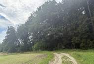 Ca. 9 ha Waldfläche zwischen Gurten und Eitzing - überwiegend Nadelholz