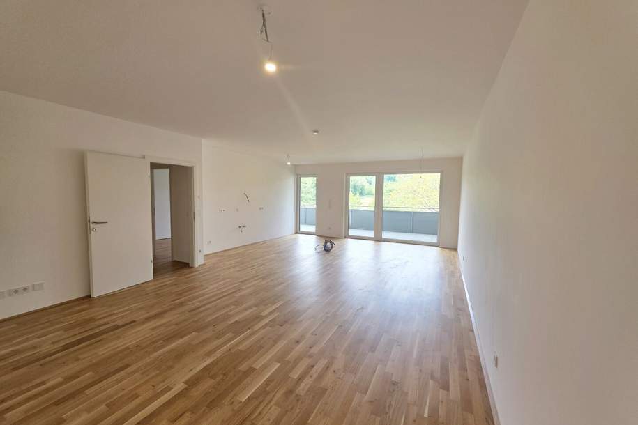 Modernes Neubau-Wohnhighlight mit großzügigem Balkon – Erstbezug in Haag am Hausruck, Wohnung-miete, 1.565,06,€, 4680 Grieskirchen