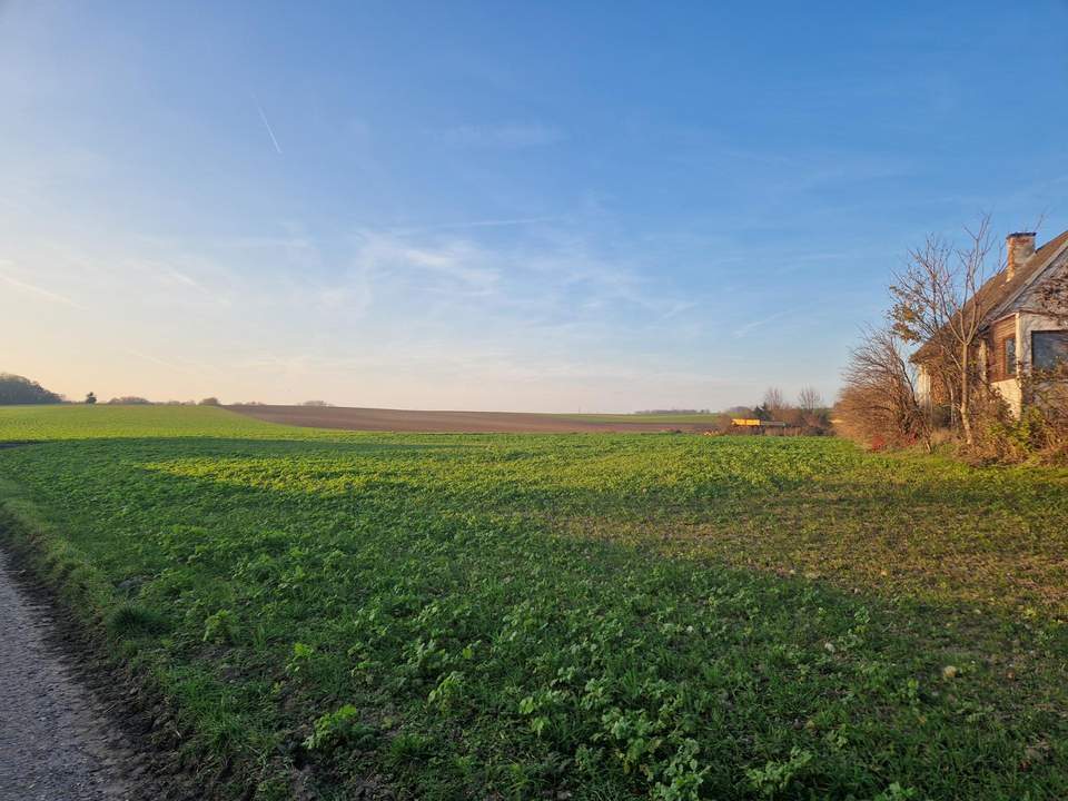 BAUEN UND WOHNEN MIT AUS- UND FERNBLICK DIREKT AN FELDER ANGRENZEND IN AUSGEZEICHNETER WOHNLAGE IM NAHBEREICH VON WIEN UND KORNEUBURG