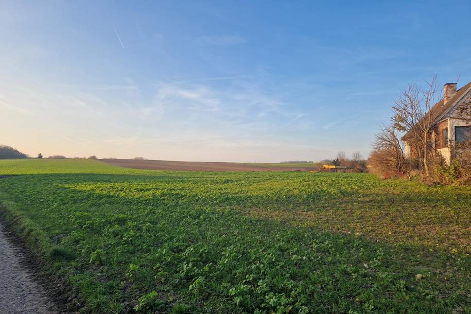 BAUEN UND WOHNEN MIT AUS- UND FERNBLICK DIREKT AN FELDER ANGRENZEND IN AUSGEZEICHNETER WOHNLAGE IM NAHBEREICH VON WIEN UND KORNEUBURG, Grund und Boden-kauf, 570.000,€, 2100 Korneuburg