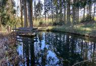 Landschaftsteich mit kleinem Waldanteil (Provisionsfrei)