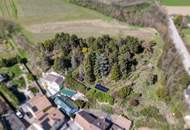 Wohnen im Grünen: Einfamilienhaus mit eigenem Wald &amp; viel Platz