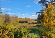 Kleinsitzendorf: Baugrund voller Möglichkeiten – Traumplatz, Traumidee, Traum wird wahr!