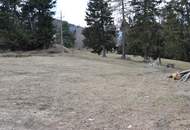 Hier planen und errichten wir unser gemeinsames Wohnhaus