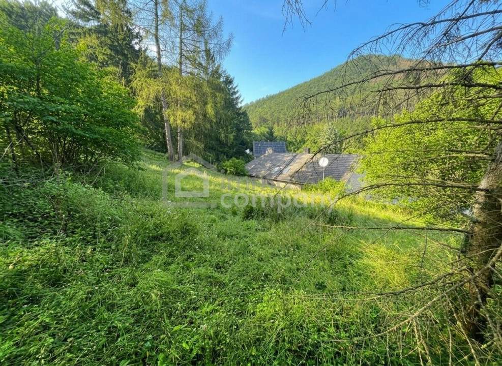 VIEL PLATZ – VIEL GARTEN – VIELE MÖGLICHKEITEN AUF EINER EBENE