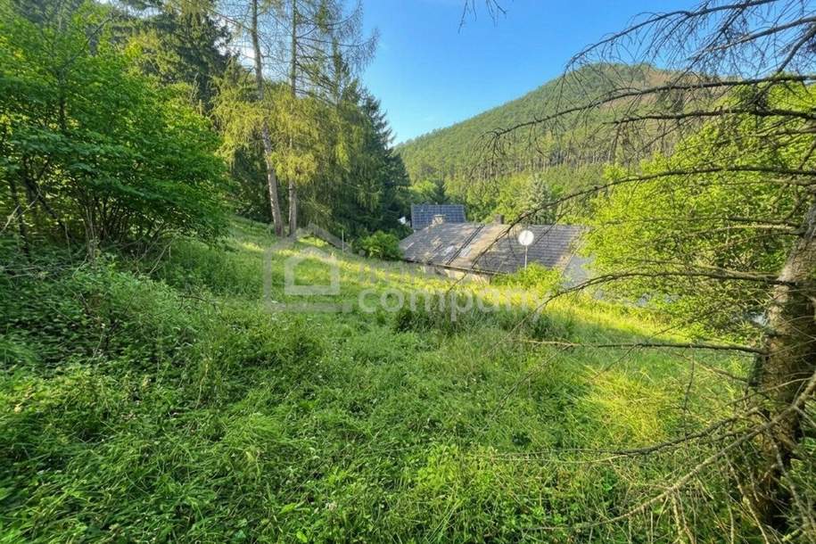 VIEL PLATZ – VIEL GARTEN – VIELE MÖGLICHKEITEN AUF EINER EBENE, Haus-kauf, 367.000,€, 2534 Baden