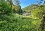 VIEL PLATZ – VIEL GARTEN – VIELE MÖGLICHKEITEN AUF EINER EBENE