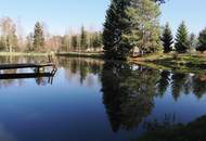 "Retreat im Waldviertel – Romantischer Fischteich im idyllischem Tann"