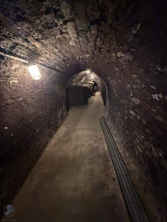 Charmantes Presshaus mit historischem Weinkeller &amp; Entwicklungspotenzial – seltene Gelegenheit!