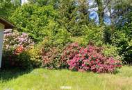 Bungalow mit Donaublick