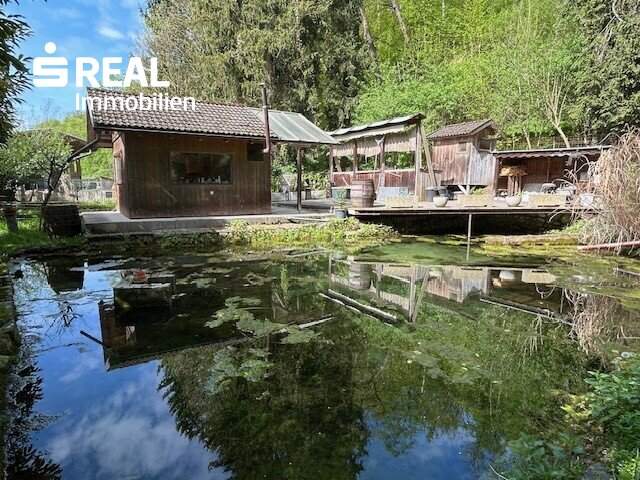 Waldflächen mit Betriebshalle, Reitplatz und Fischteich