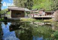 Waldflächen mit Betriebshalle, Reitplatz und Fischteich