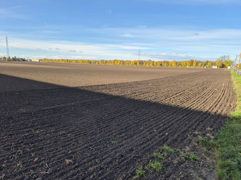 "BAUhoffnungsTELEFON"