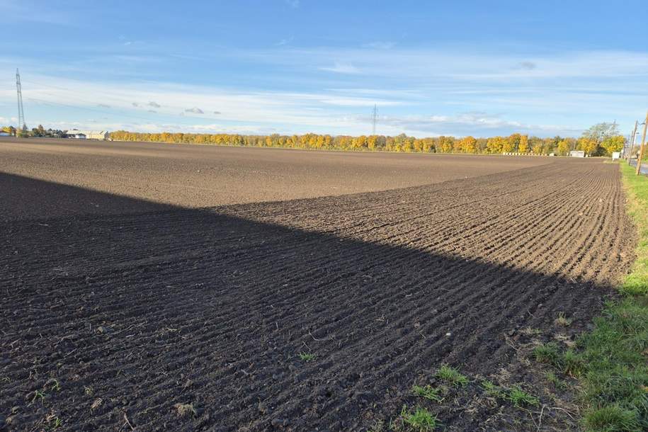 "BAUhoffnungsTELEFON", Gewerbeobjekt-kauf, 180,€, 1220 Wien 22., Donaustadt