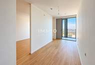 DC2 TOWER: 49. Etage - VIC View - ERSTBEZUG