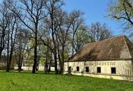 Prunkvolles Schloß mit Park und Schloßteich