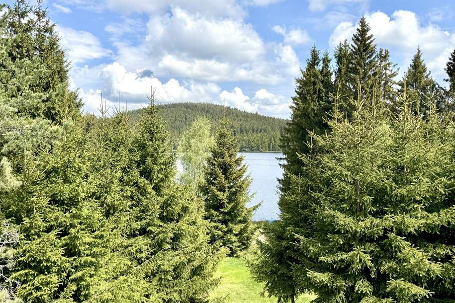 HAUS AM SEE - Ihr privates Naturparadies im Waldviertel, Haus-kauf, 798.000,€, 3665 Zwettl
