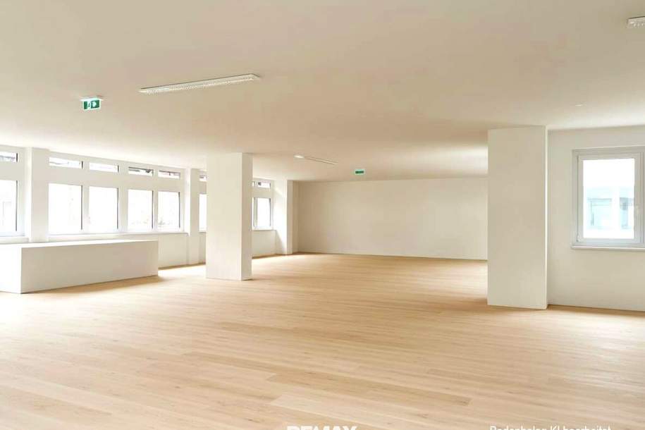 TOP Lage: Moderne Büroflächen im Zentrum von Hietzing, Gewerbeobjekt-miete, 9.526,80,€, 1130 Wien 13., Hietzing