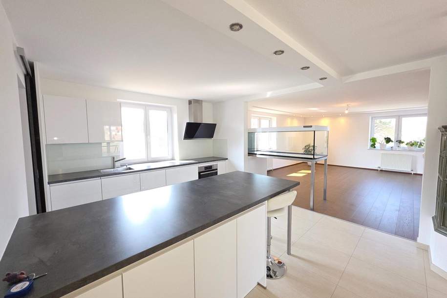 RUHELAGE - großzügiges Wohnhaus mit vielen Extras, Haus-kauf, 445.000,€, 2223 Gänserndorf