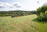 Sanierungsbedürftiger Bauernhof mit Hobby-Autowerkstatt in idyllischer Lage