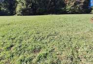 Preiswertes Grundstück am Rechberg: Ruhe, Aussicht und Natur!