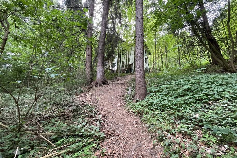 Waldgrundstück mit Altbestand in Amras, Grund und Boden-kauf, 6020 Innsbruck-Stadt