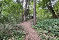 Waldgrundstück mit Altbestand in Amras