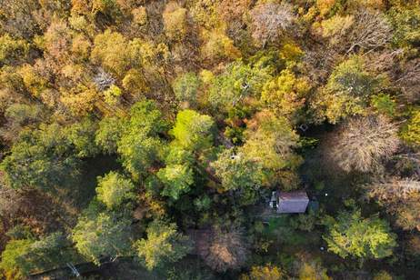 Unglaubliches Erholungsrefugium I Einzigartiges Jagdhäuschen auf Eigengrund nächst Lainzer Tiergarten!, Haus-kauf, 198.000,€, 1230 Wien 23., Liesing