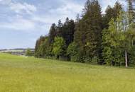 Landwirtschaftliche Flächen