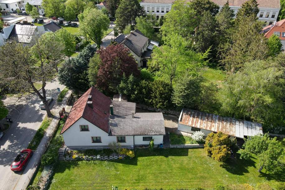 Haus auf 1100 m² Grund in zentraler Lage, Haus-kauf, 595.000,€, 2301 Gänserndorf