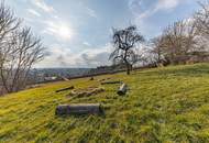 EINZIGARTIGE GELEGENHEIT! BAUERNHOF MIT 9789 m² LANDWIRTSCHAFT & 2421 m² WEINGARTEN! FÜR NATURFREUNDE & TIERLIEBHABER!