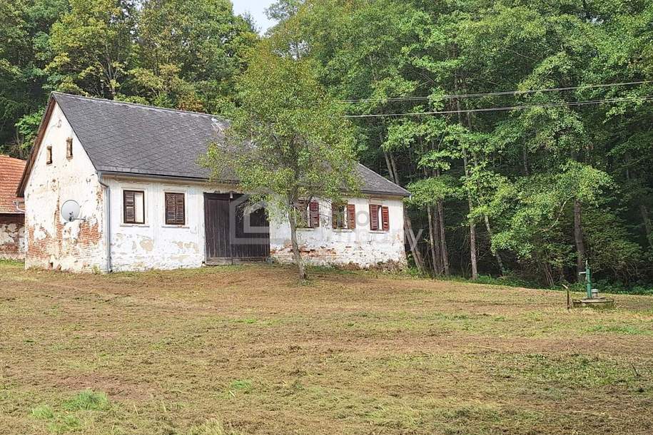 Die Lage...die Lage...die Lage...absolute Alleinlage im Südburgenland, Haus-kauf, 199.000,€, 7561 Jennersdorf