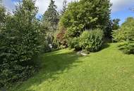 Einfamilienhaus mit großem Keller und traumhaftem Wald-Blick
