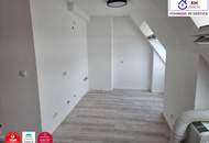 Lichtdurchflutete neu renovierte Wohnung