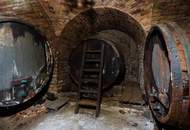 Potentialreiches Haus mit spitzen Weinkellerröhren in Groß-Schweinbarth