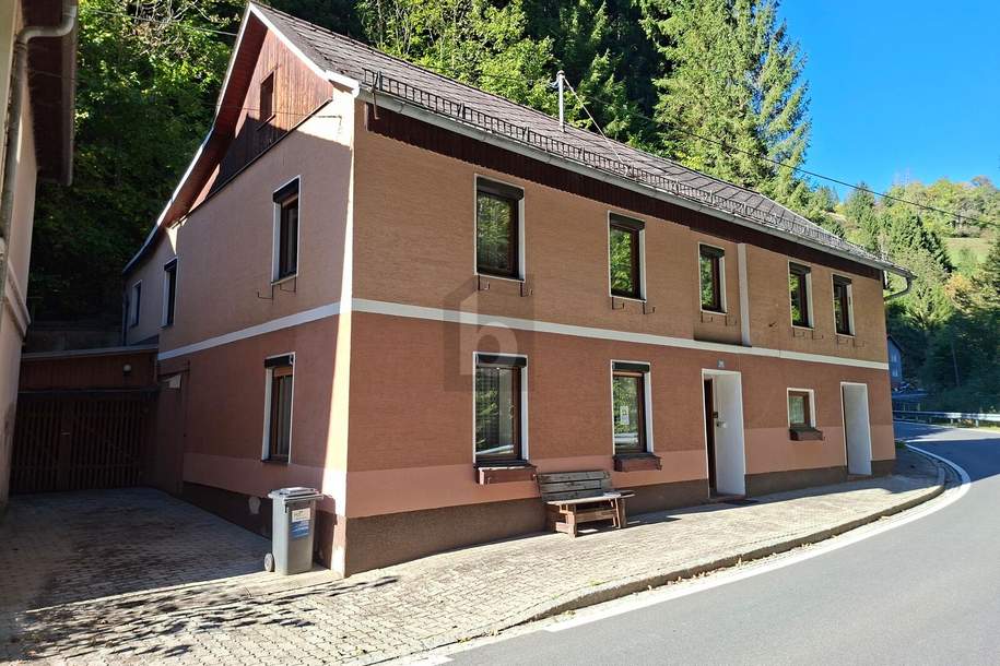 PREISWERT! SUPER GELEGENHEIT FÜRS ERSTE EIGENHEIM, Haus-kauf, 110.000,€, 9375 Sankt Veit an der Glan