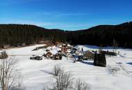 Einzigartiges Wohnhaus in Lackenhof am Ötscher – Wohnen, wo andere Urlaub machen - provisionsfrei für die Käufer!