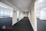 Modernes 6-Zimmer Büro mit Terrasse! Nähe Schwarzenbergplatz