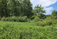 Waldgrundstück