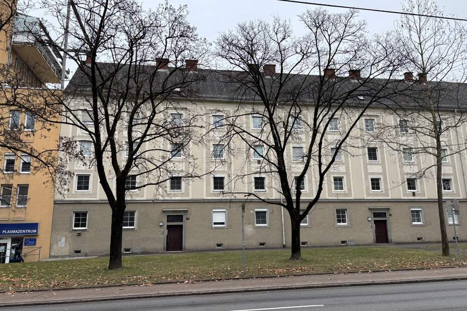 Eigentumswohnung Kaplanhofviertel, Wohnung-kauf, 120.000,€, 4020 Linz(Stadt)