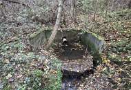 Einmalige Gelegenheit: Waldgrundstück mit ca. 3 ha in Graz-St. Peter/Messendorf zu verkaufen!