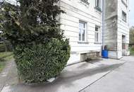 Neu sanierte Wohnung im Wiener Altbau // Newly renovated apartment in an old Viennese building //