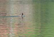 2 Seegrundstücke am Weissensee