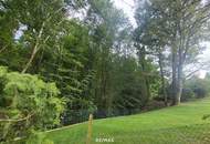 Wohnen am Wald - Topangebot