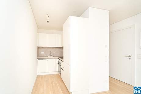 Wohnimmobilien mit Potenzial – investieren im 9. Bezirk, Wohnung-kauf, 275.000,€, 1090 Wien 9., Alsergrund