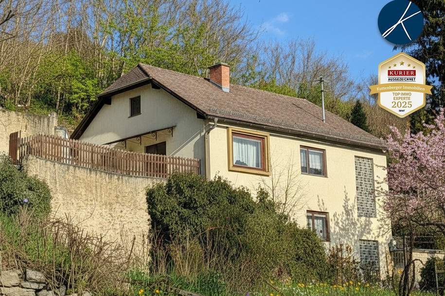 Einfamilienhaus mit Garten in Bestlage von Stein, Haus-kauf, 615.000,€, 3500 Krems an der Donau(Stadt)